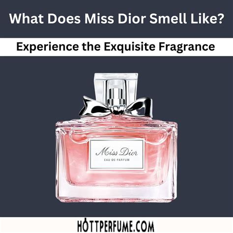 miss dior egypt|what does Miss Dior smell like.